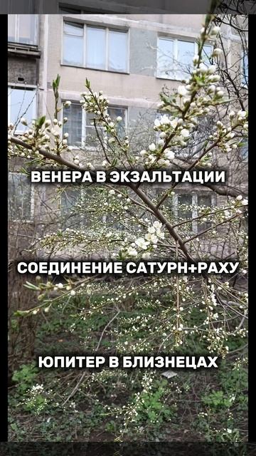 Астрологический май. Все классно!