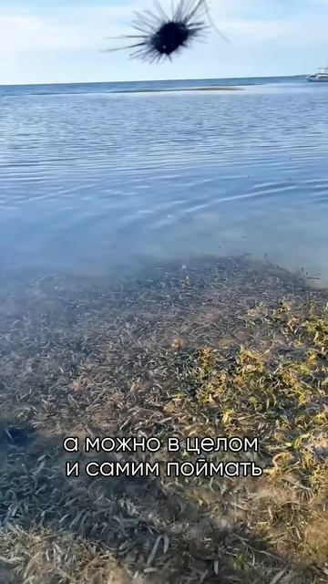 А где вы еще такое видели #путешествия путешествия туризм