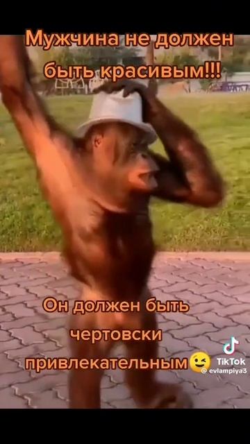 Чертовски хорош.

1000017860.mp4