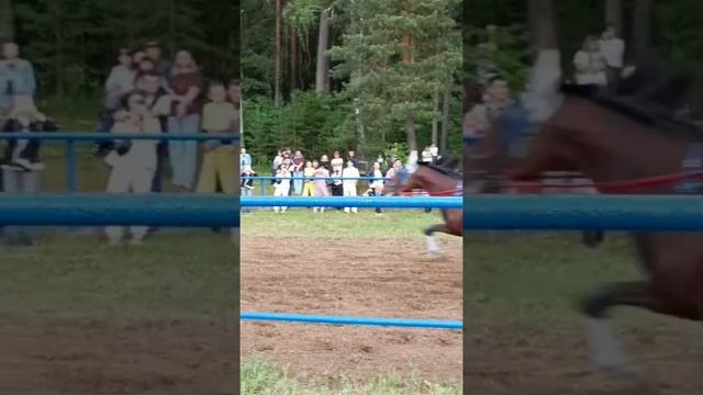 "Вишенка на торте" любого сабантуя - это скачки!!! Краснокамский район.село Николо- Березовка.