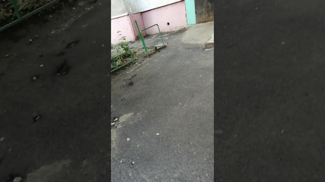 Жду друга, взаимная подписка