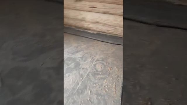 320_дом_черновые