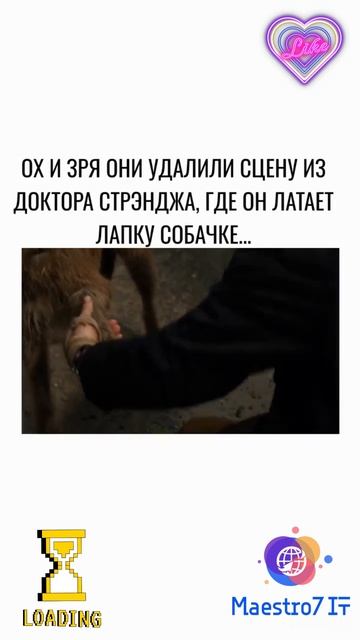 💻 Ох и зря они удалили сцену из Доктора Стрэнджа, где он латает лапку собачке ...