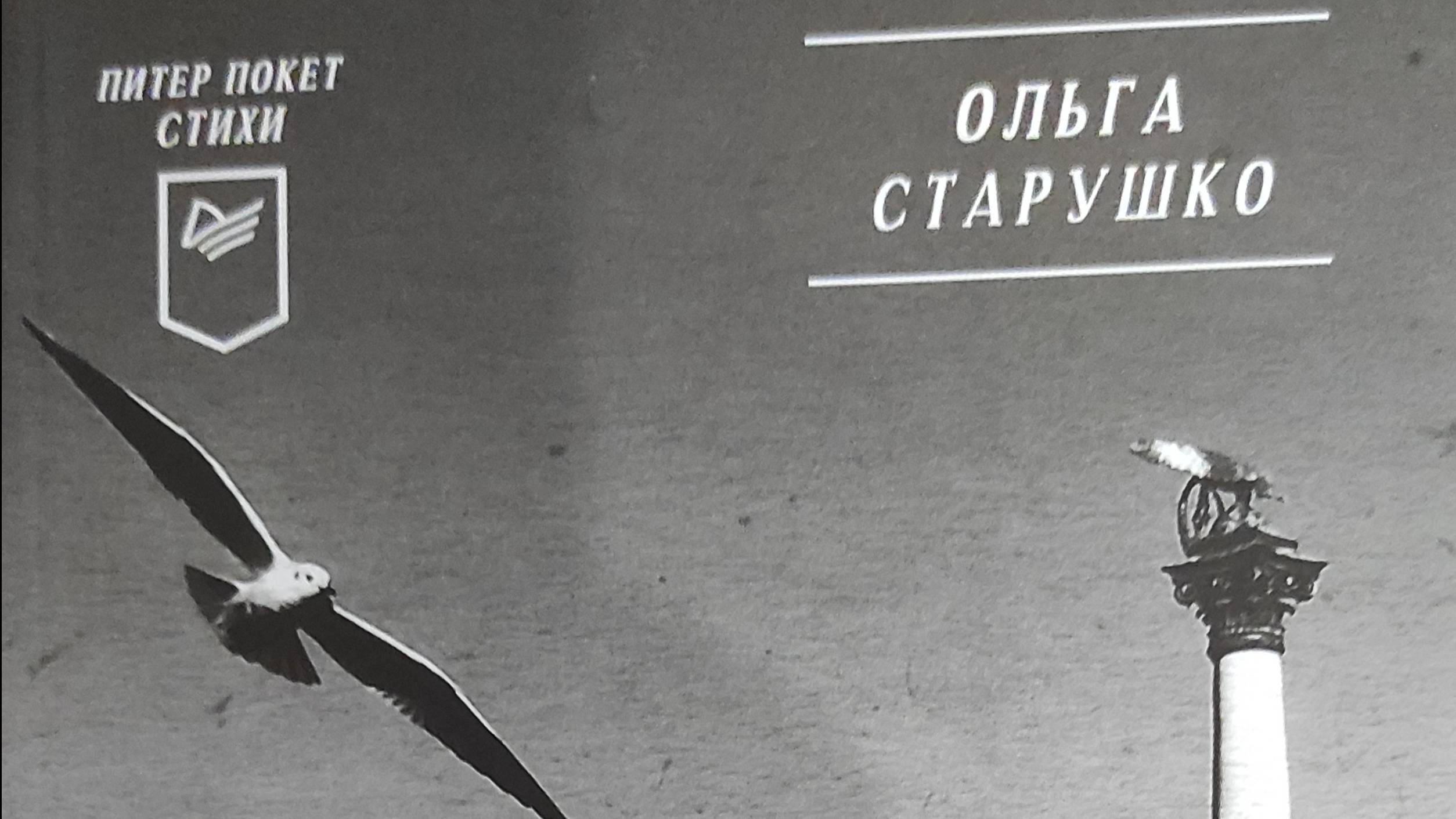 КНИГА 930 Ольга Старушкó. Родительская тетрадь (СПб.: Лира, 2023)