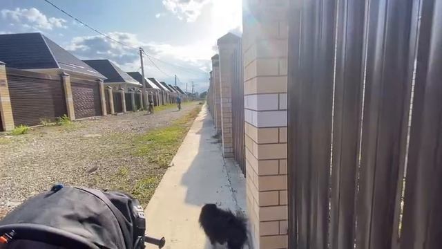 Прогулка по кп