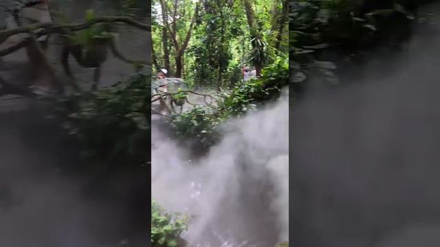 Архидейцпаркvideo_10127256917334