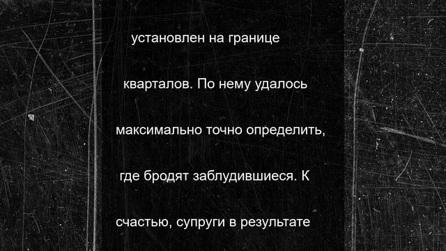 Супруги их Коломны заблудились в лесу, отправившись за грибами