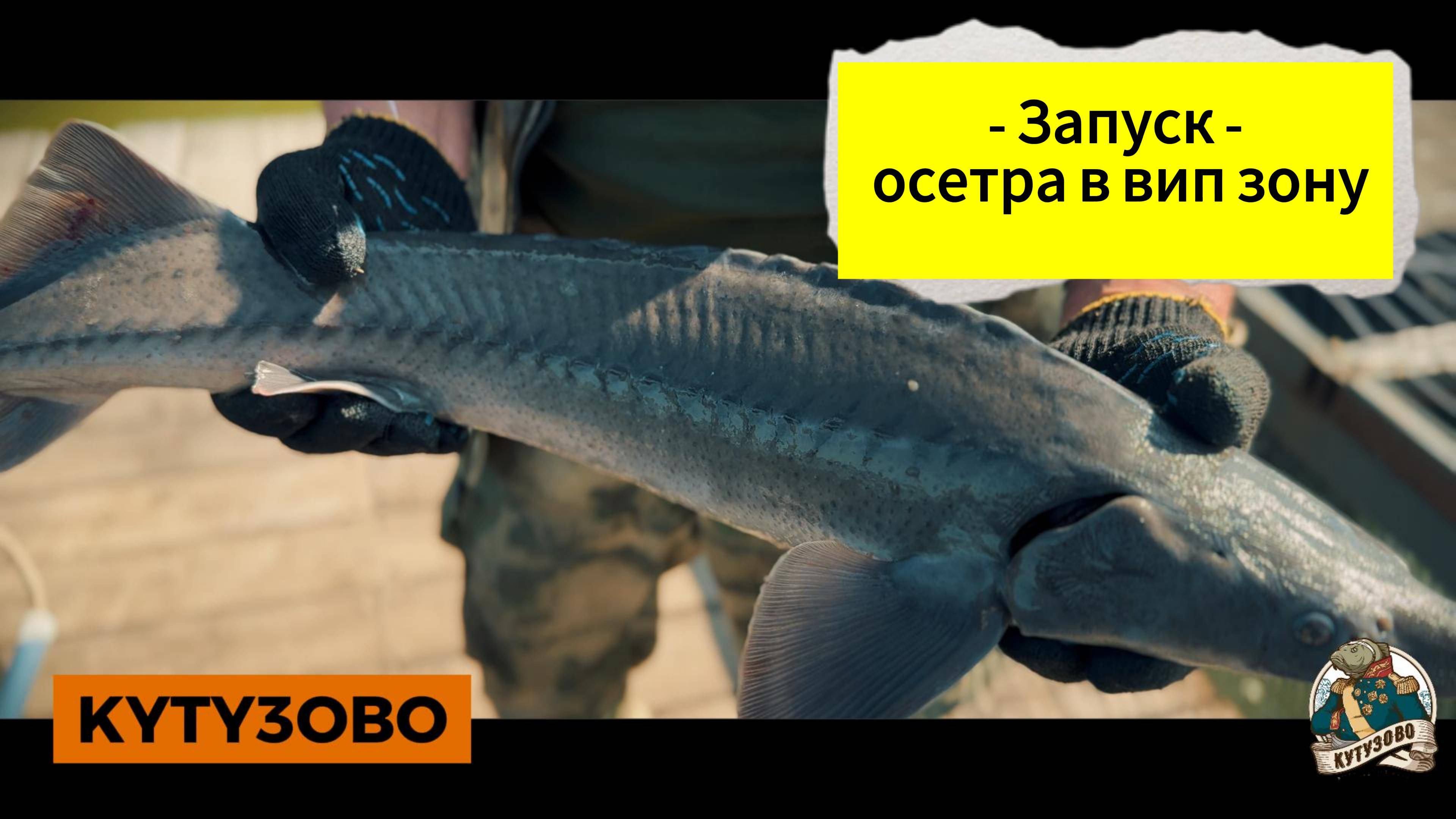 24.06 запуск осетр в вип зону