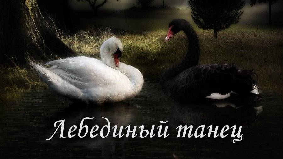 Лебединый танец (Песня)