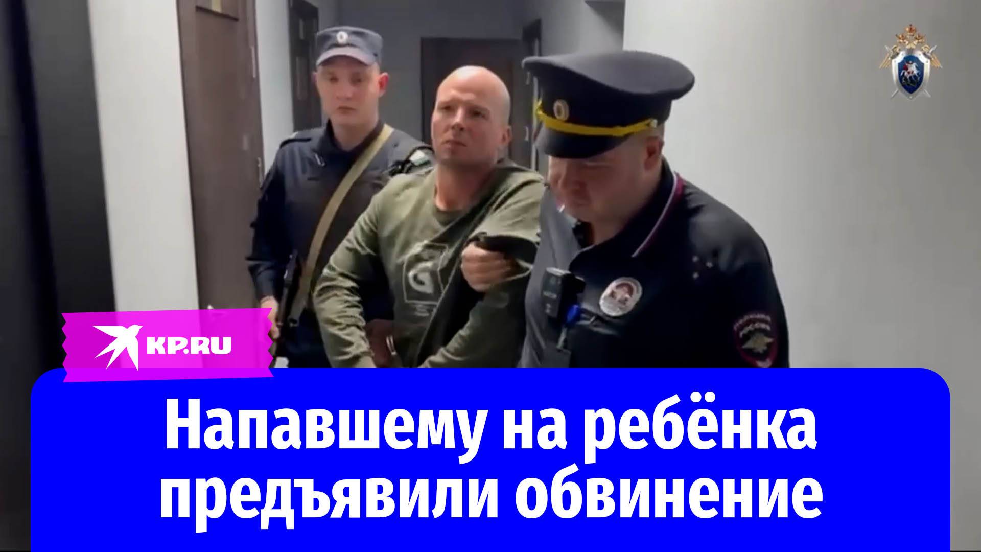Предъявлено обвинение в покушении на убийство ребёнка в Шереметьево