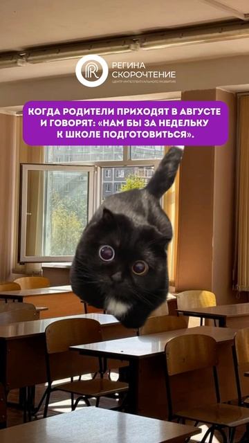 Возьмёте таких учеников к себе на занятия? 🙈