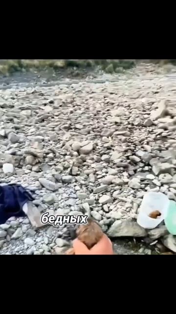 Мужчина на рыбалке спас щенков