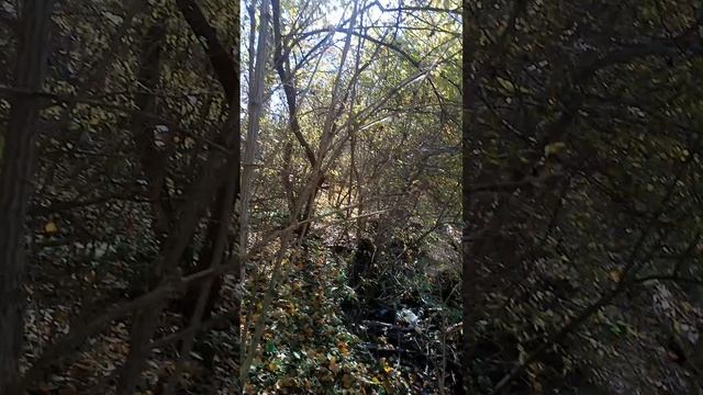 Маленькие открытия на тропе