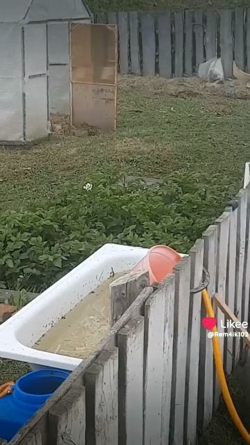 косим травушку