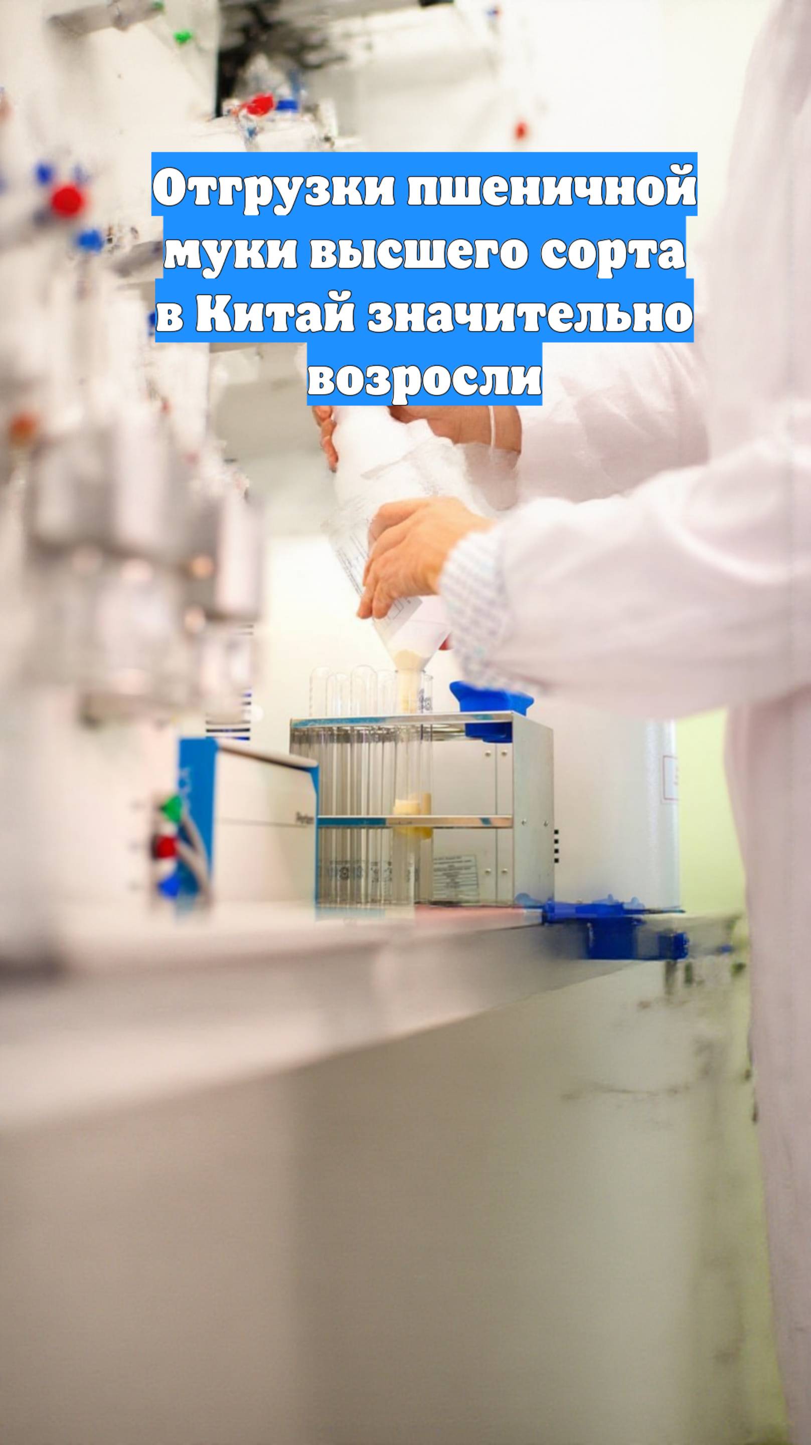 Отгрузки пшеничной муки высшего сорта в Китай значительно возросли