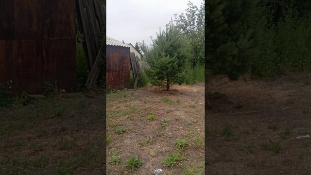VID_20250624_114645