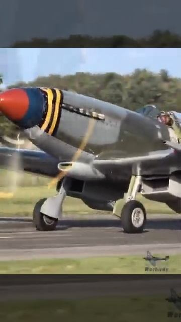Spitfire Mk 18 Rolls Royce Griffon Sound