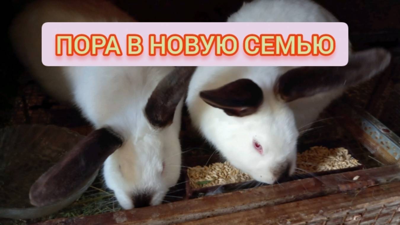 Девки на аыданье. 🐇🐇