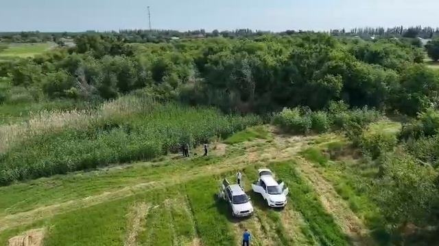 Участок на маныче 60 соток