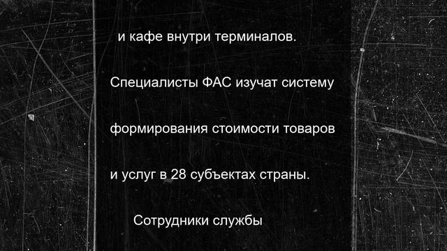 ФАС проведет проверку ценообразования в аэропорту Пулково