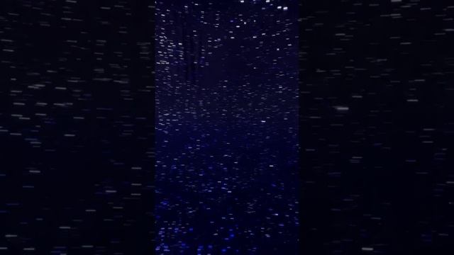 Лена Тепловодская делится: Невероятный день получится ❤️