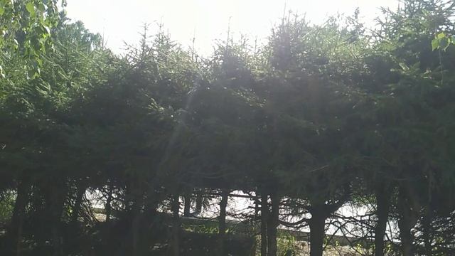 бубликовые качели возле Юности