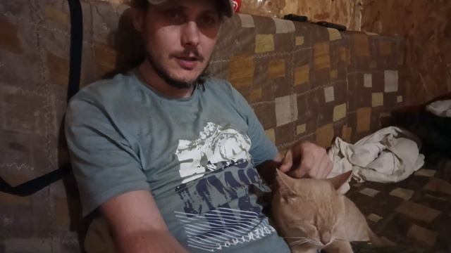 про котов1