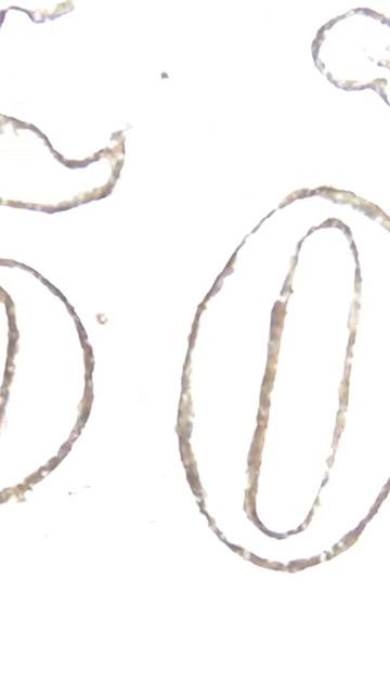 То что скрыто I 50 пенни 1917 года Серебро I Русская Финляндия I Цена #редкие #coin #монеты #silver