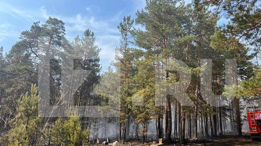 Площадь лесного пожара у поселка Атамановка в Забайкалье возросла до 4,5 тыс. га