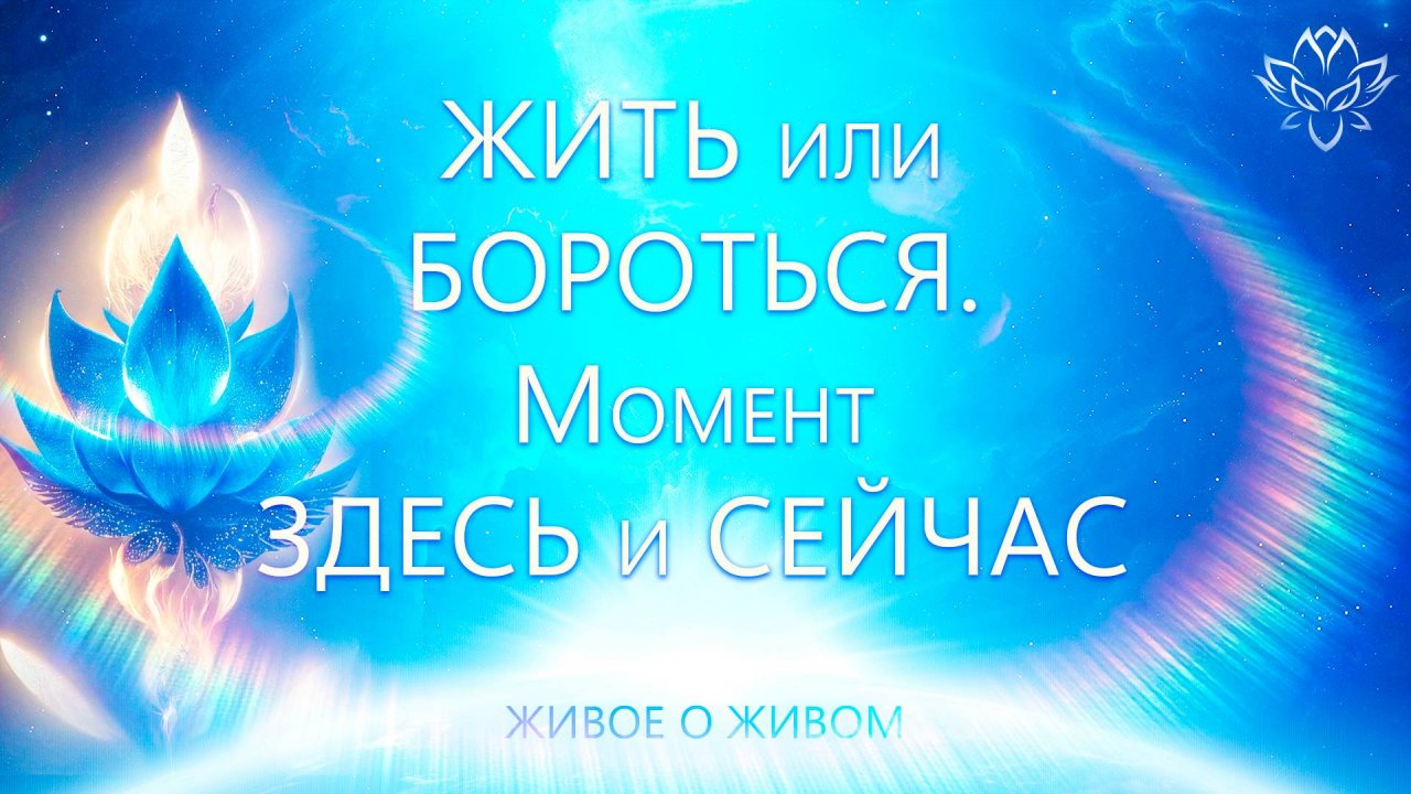 Жить или Бороться. Момент Здесь и Сейчас