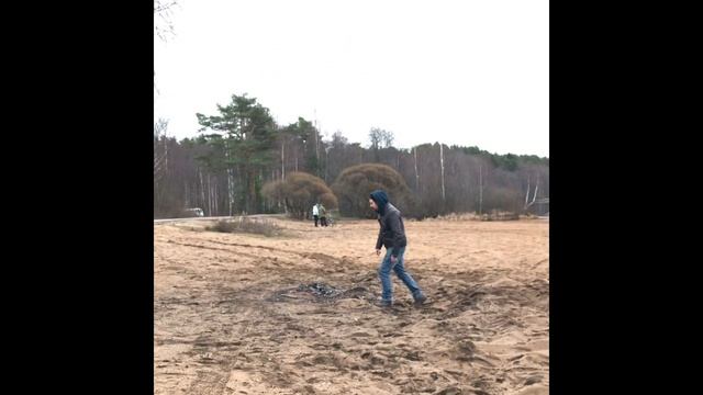 Выгуливаем собаку из приюта / Игры с кошкой / Мяч и бумеранг застряли на дереве