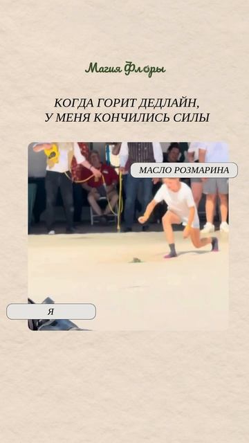 Масло номер один для усиления работоспособности — розмарин цинеольный 💫