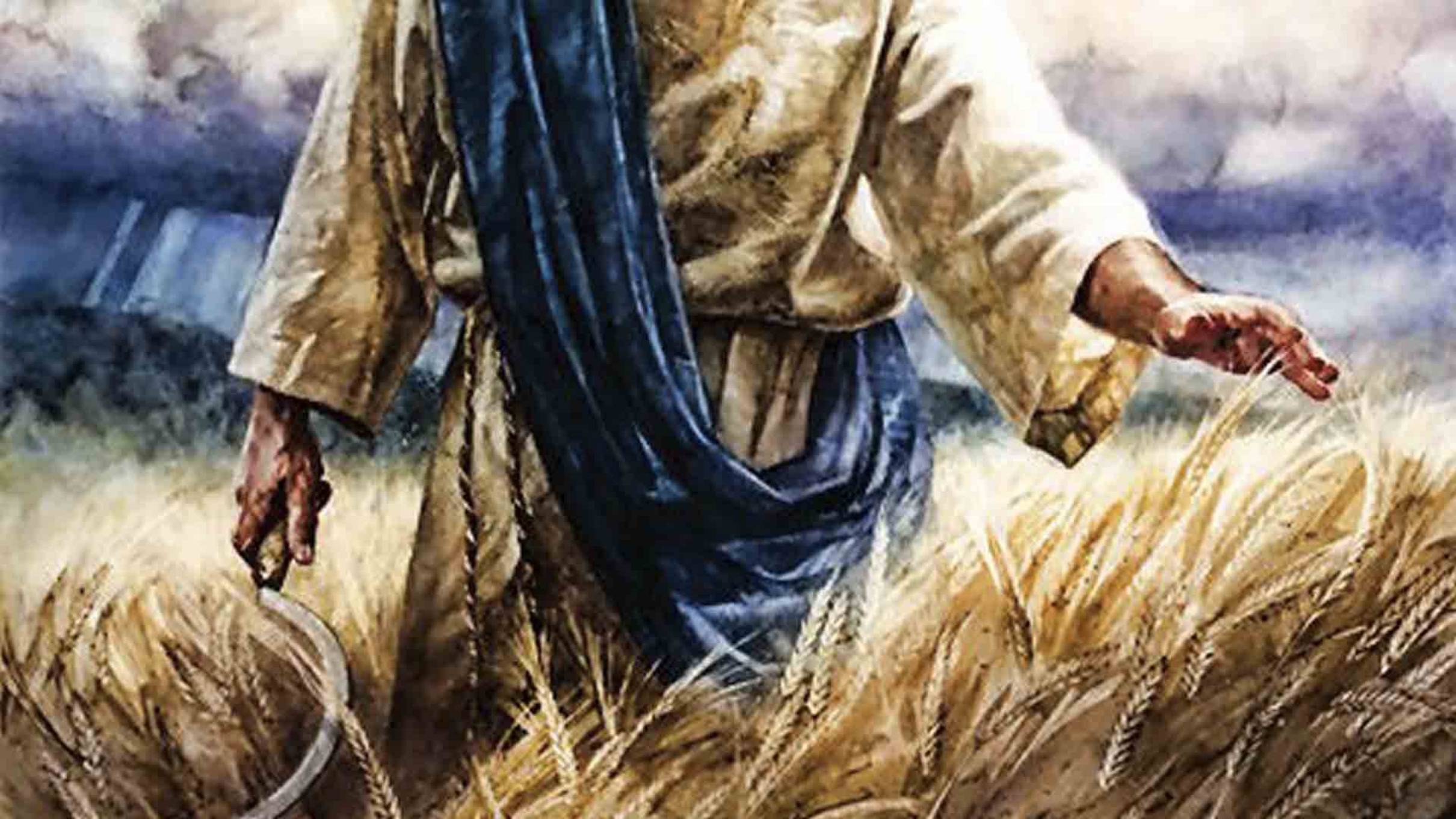 27. Книга Иоанна Богослова гл.14:13-20. Толкование на Апокалипсис. Читает Голубева Екатерина.
