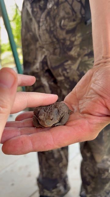 Прынц или не Прынц? 🤴Может зря не поцеловала?