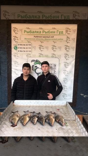 уловы рыбаков в Рыбин Гуде