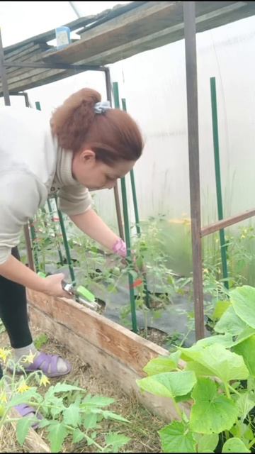 Садовый тапенер для подвязки томатов