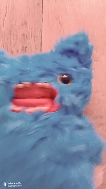 1000002270.mp4