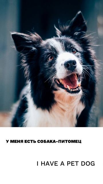 Питомец
