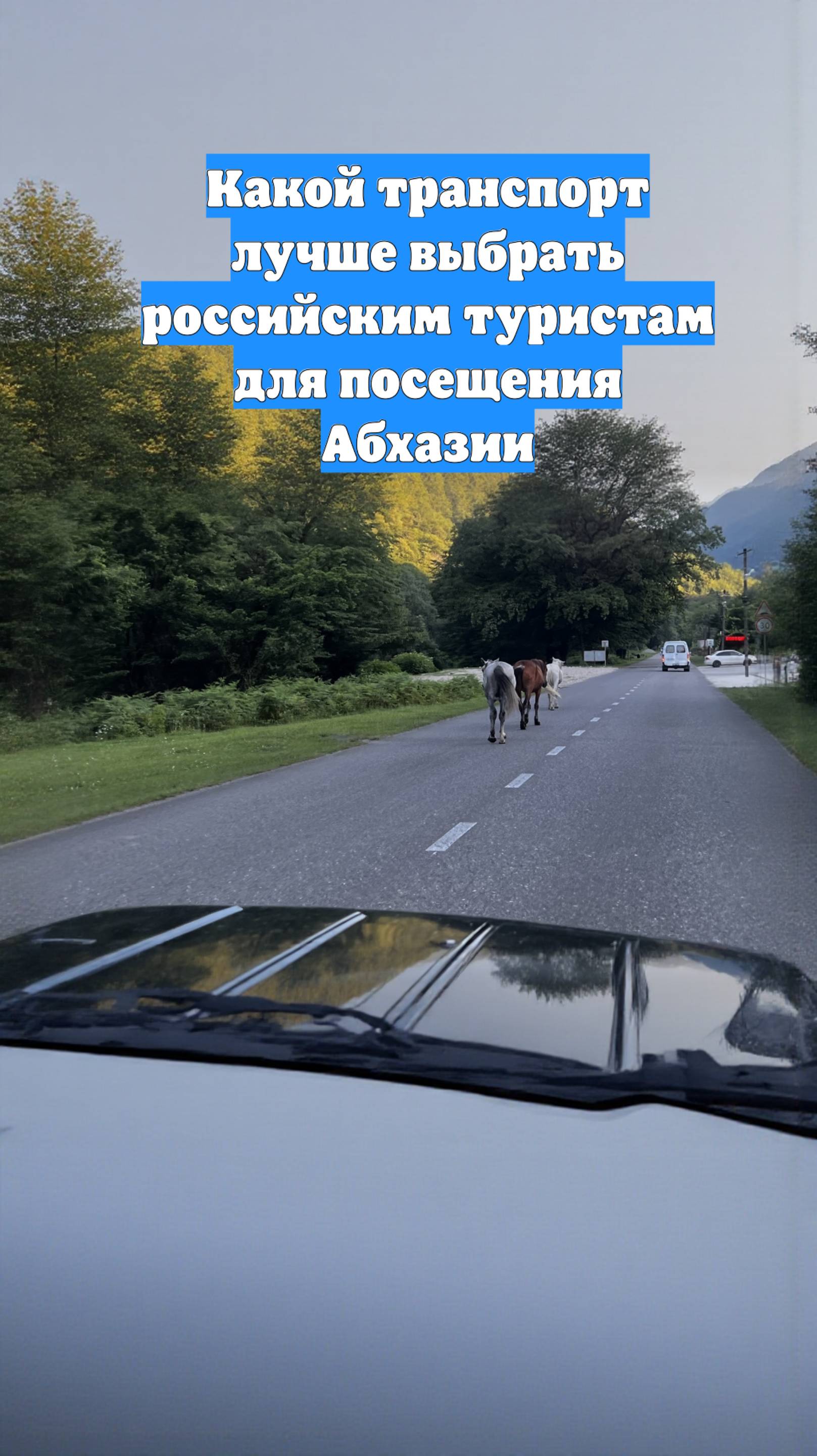 Какой транспорт лучше выбрать российским туристам для посещения Абхазии