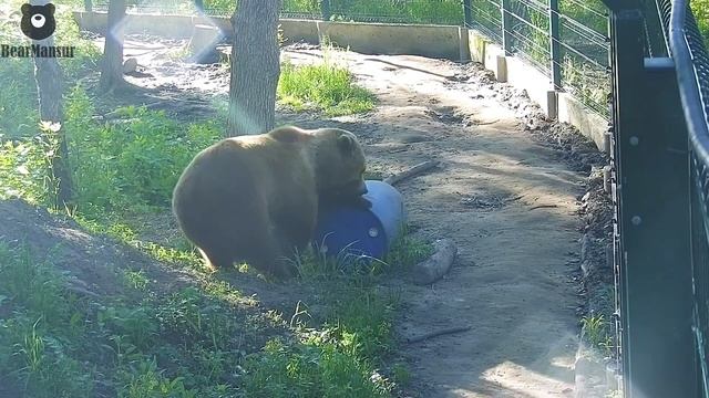 Выспался и давай порядки наводить