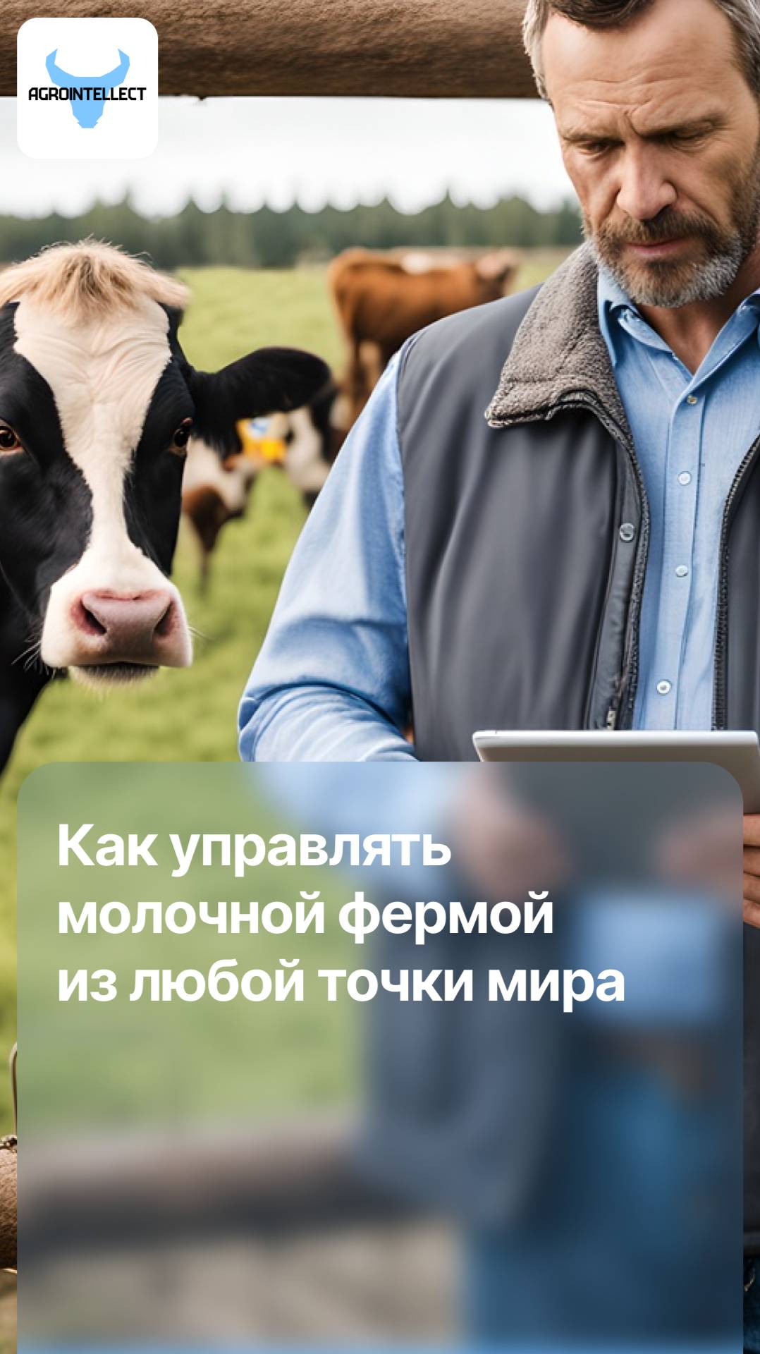 Как управлять молочной фермой из любой точки мира!
