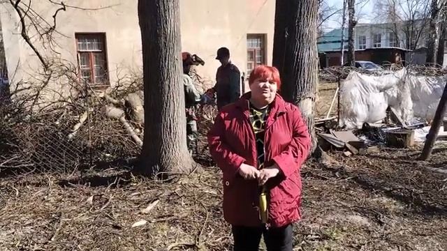 Удаление липы в Коломне