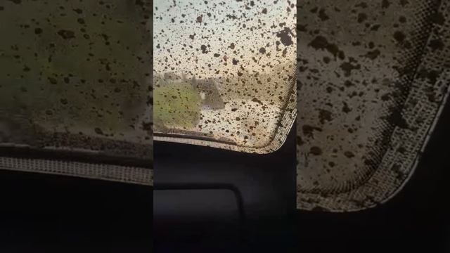 ПРОЕКТ ИВУШКА В ДЕЛЕ 😎😎😎