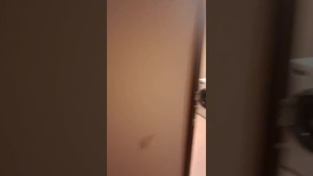 Сдается дом 300 кв.м. ул Чехова