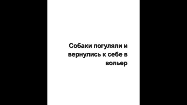 Мультсериал "Добрыня и Ириска" 2 серия