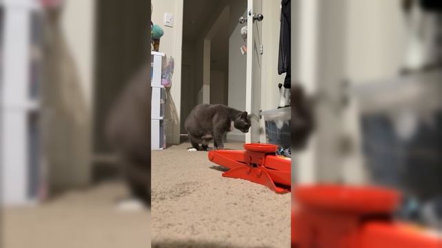 Необъяснимый страх перед большой красной штукой..