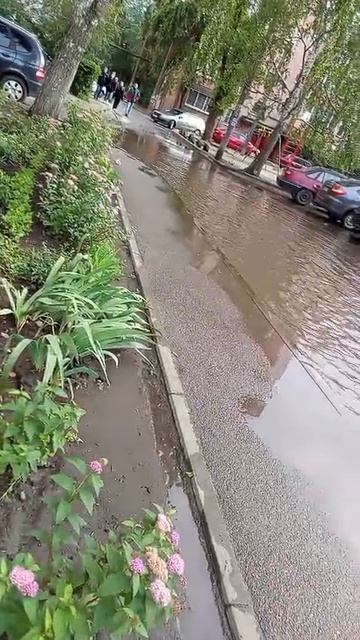 Почти озеро: во дворе 6 дома по улице Рижская - потоп. Скоро будет новое воронежское водохранилище.