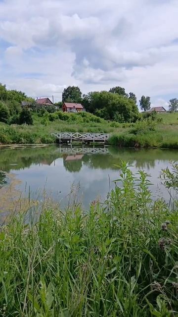video_2025-06-24_19-28-44