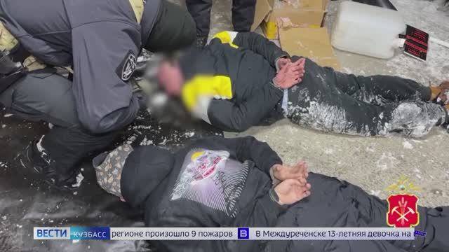 Плантация конопли, драка и ДТП с участием иномарок: сводка происшествий по Кузбассу
