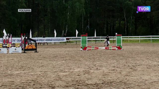 Социально-спортивный проект «Конный калейдоскоп»